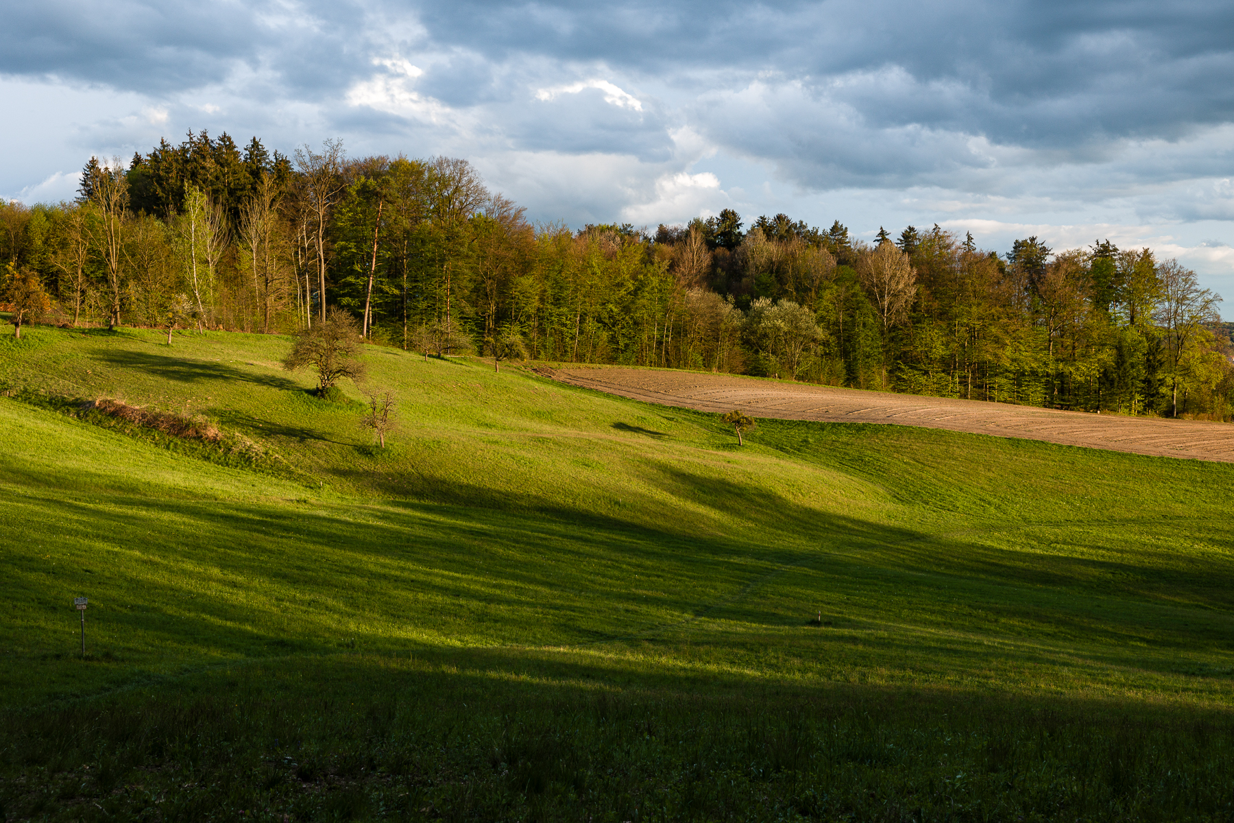 Fotoworkshop und Masterclass von der Idee zum Bild, Fotokurs Steiermark